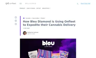 Preview of the Bleu Diamond Case Study
