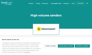 Preview of the Bloomreach Case Study