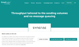 Preview of the Synerise Case Study