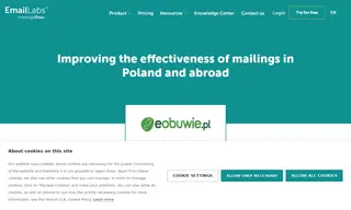 Preview of the Eobuwie.pl Case Study