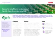 Preview of the Carlsberg Case Study