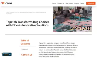 Preview of the Tapetah Case Study