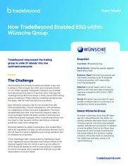 Preview of the Wünsche Group Case Study