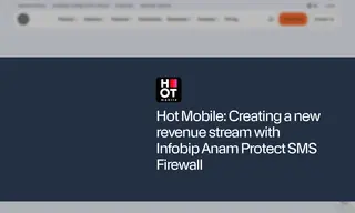Preview of the Hot Mobile Case Study