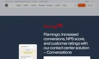 Preview of the Flamingo Case Study
