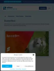 Preview of the BaxterBoo Case Study