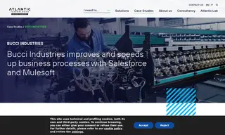 Preview of the Bucci Industries Case Study