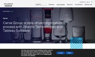 Preview of the Cerve Group Case Study
