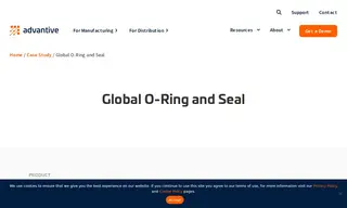 Preview of the Global O-Ring and Seal Case Study