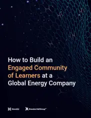 Preview of the Brandon Hall Group Case Study