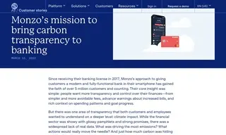 Preview of the Monzo Case Study