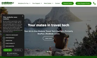 Preview of the Elements of Castor Bay Case Study
