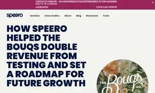 Preview of the The Bouqs Company Case Study