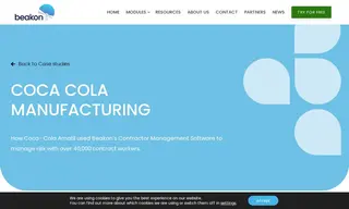 Preview of the Coca Cola Case Study