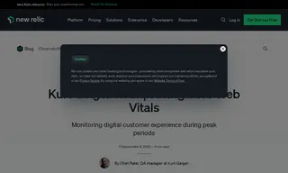 Preview of the Kurt Geiger Case Study