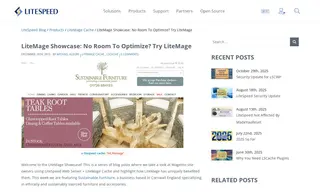 Preview of the Sustainable Furniture Case Study