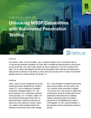 Preview of the Netpluz Asia Pte Ltd Case Study