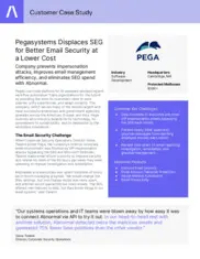 Preview of the Pegasystems Case Study