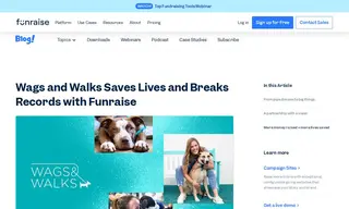 Preview of the Wags and Walks Case Study