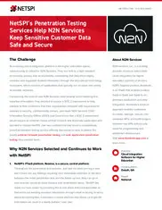 Preview of the N2N Services Case Study