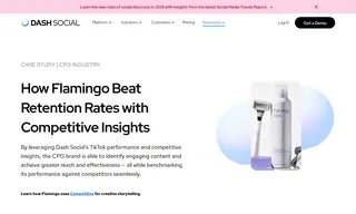 Preview of the Flamingo Case Study