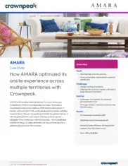 Preview of the Amara Case Study