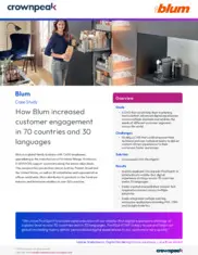 Preview of the Blum Case Study