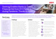 Preview of the Serimag Case Study