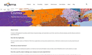 Preview of the Cozmix Inc. Case Study