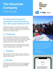 Preview of the The Mountain Company Case Study