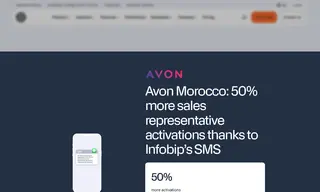 Preview of the Avon Case Study