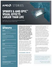 Preview of the SpinVFX Case Study