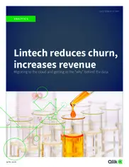 Preview of the Lintech International Case Study