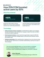 Preview of the ZEN.COM Case Study