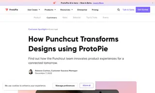 Preview of the Punchcut Case Study