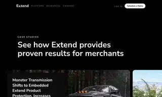 Preview of the Boutique Rugs Case Study