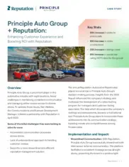 Preview of the Principle Auto Group Case Study