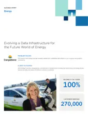 Preview of the Energiedienst Case Study