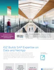 Preview of the IGZ Case Study