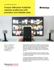 Preview of the France Televisions Publicite Case Study