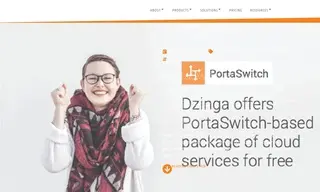 Preview of the Dzinga Case Study