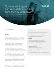 Preview of the Leading Government Agency Case Study