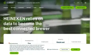 Preview of the Heineken Case Study