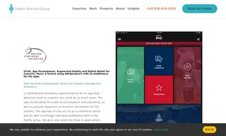 Preview of the Boston Symphony Orchestra Case Study