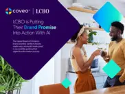 Preview of the LCBO Case Study