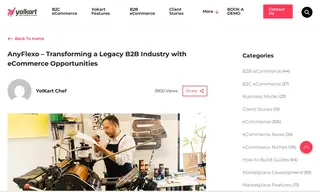 Preview of the AnyFlexo Case Study