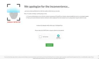 Preview of the Leading eCommerce Company Case Study