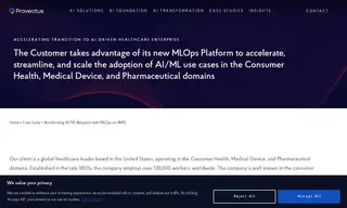 Preview of the Large Global Company Case Study