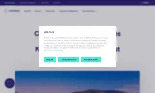 Preview of the City of Heidelberg Case Study