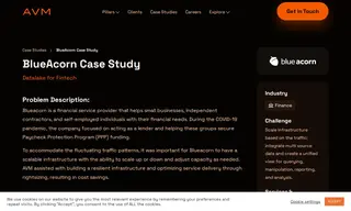 Preview of the BlueAcorn Case Study